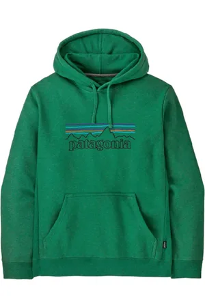 Patagonia Heren, Sweatshirts & Hoodies, Groen, Maat: XS