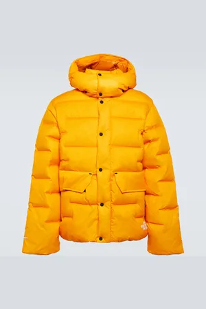 The North Face RMST Sierra parka