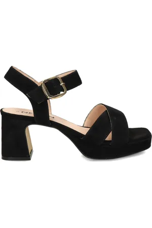 Nelson Pumps