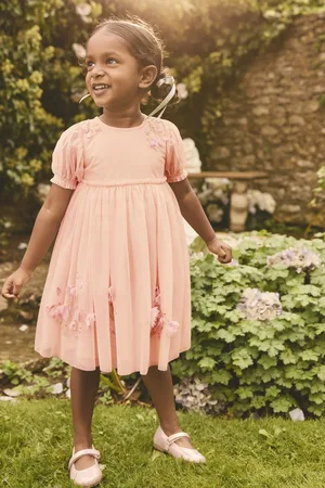 Next Embroidered Mesh Dress (3mths-8yrs)2