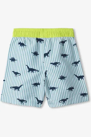 Hatley Blue Dino Stripes Swim Trunks110116cm
