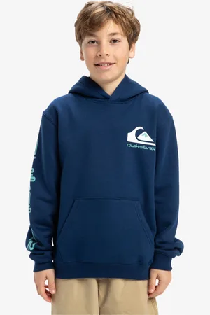 Quiksilver Youth OMNI Logo Hoodie158164cm