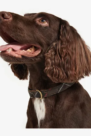 Barbour Klassieke geweven kraag met Schotse ruitMedium