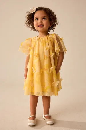 Next Short Sleeve Mesh Butterfly Dress (3mths-7yrs)104110cm