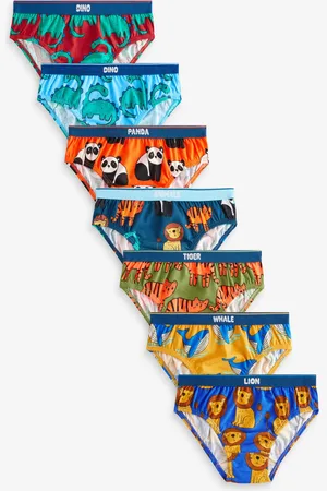 Next 100% katoenen slip verpakking van 7 (1,5