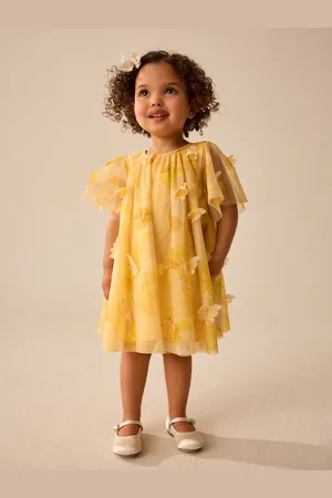 Next Short Sleeve Mesh Butterfly Dress (3mths-7yrs)104110cm