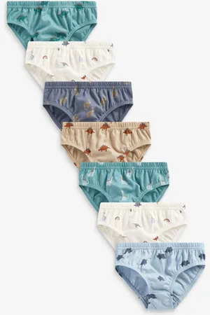 Next 100% katoenen slip verpakking van 7 (1,5