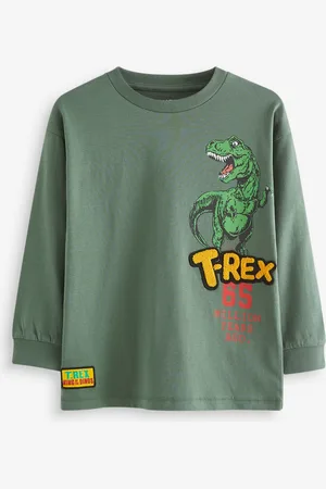Next Long Sleeve Graphic 100% Cotton T-Shirt (3-16yrs)11 Jaar (146cm)