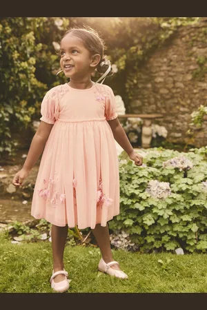 Next Embroidered Mesh Dress (3mths-8yrs)2