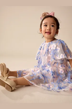 Next Embroidered Mesh Dress (3mths-8yrs)104110cm