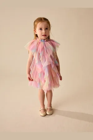 Next Mouwloze mesh feestelijke jurk (3mnd-7jaar)104110cm