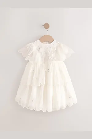 Next Short Sleeve Embroidered Mesh Dress (3mths-7yrs)6