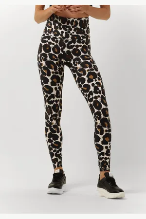 Deblon Sports Dames Broeken Classic Leggings High Waistband - - Maat XL