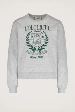 Colourful rebel College 1986 Embro Hoodie