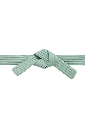 Closed Belt Belt Sage Green