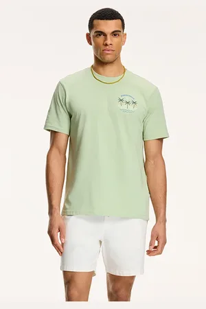 Shiwi Antigua Port T-shirt Dust Green