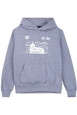 Arena Jr Hoodie Esch Rome 22 Merch Grey Melange