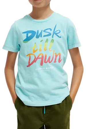 Scotch&Soda Regular Fit Artwork T-shirt In Organic Cotton Topaz