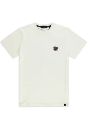 Aspact Teddy Tee Canoli