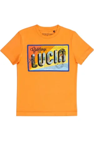 River Woods Normal Fit Basic T-shirt In Sunrise Orange