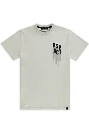 Aspact Waterfall Tee Light Grey