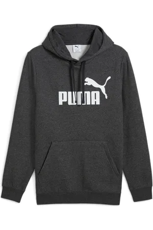 PUMA Hoodie ESS NO. 1 LOGO HOODIE FL