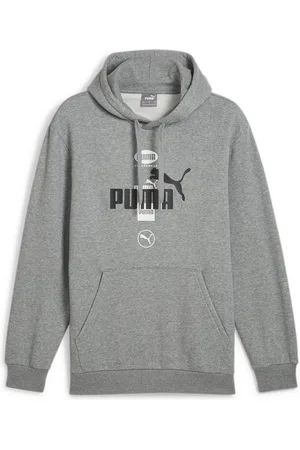 PUMA Hoodie POWER GRAPHIC HOODIE FL