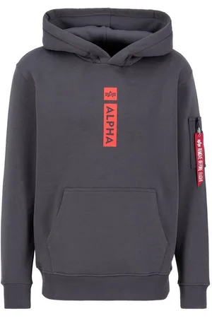 Alpha Industries Hoodie Men - Hoodies Alpha Puff Print Hoodie