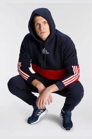 adidas Hoodie ESSENTIALS COLORBLOCK FLEECE HOODIE