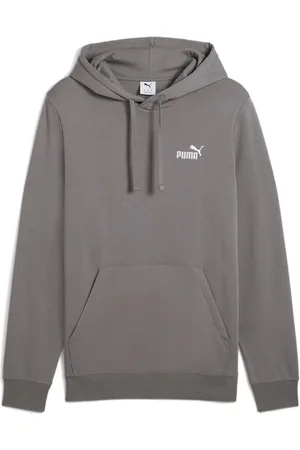 PUMA Hoodie ESS SMALL NO. 1 LOGO HOODIE TR (S)