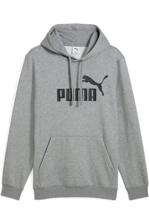 PUMA Hoodie ESS NO. 1 LOGO HOODIE FL