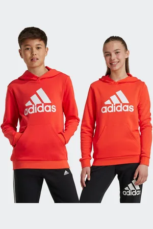 adidas Hoodie BIG LOGO ESSENTIALS COTTON HOODIE
