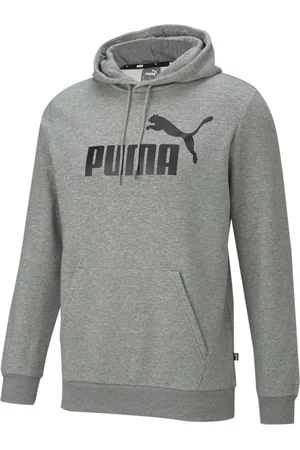 PUMA Hoodie ESS BIG LOGO HOODIE FL