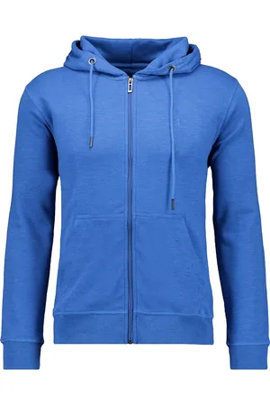 Ragman Hooded sweatshirt , Effen
