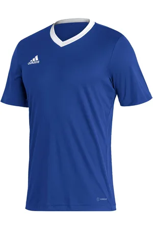 adidas Entrada 22 SS Shirt Heren