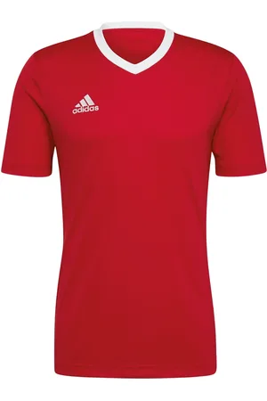 adidas Entrada 22 SS Shirt Heren