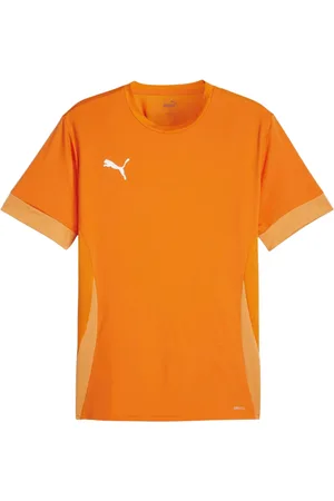 PUMA TeamGOAL Matchday Shirt Heren