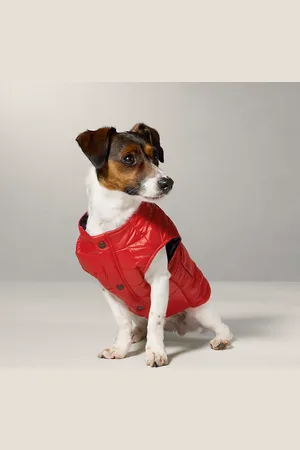 Ralph Lauren Gewatteerd jack voor honden
