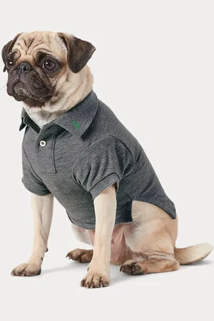 Ralph Lauren Katoenen mesh Polo-shirt voor honden