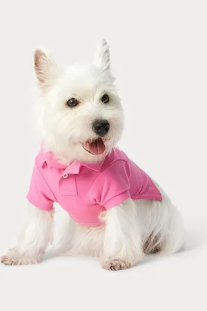 Ralph Lauren Mesh Polo-shirt met Polo Bear voor honden