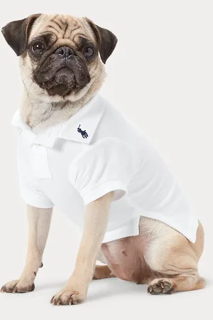 Ralph Lauren Katoenen mesh Polo-shirt voor honden