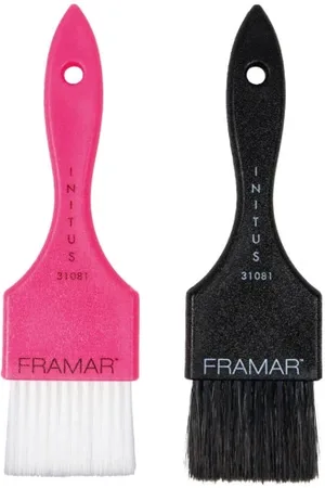 Framar Power Painter