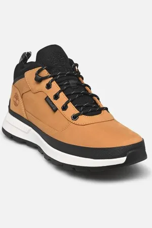 Timberland Field trekker low lace sneaker by