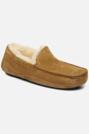 UGG Ascot by