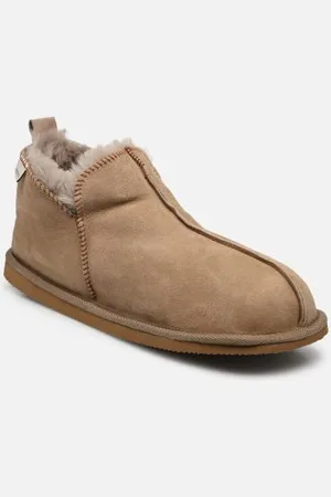 Shepherd Anton by