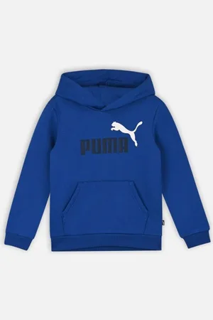 PUMA Ess+ 2 Col Big Logo Hoodie Fl B by