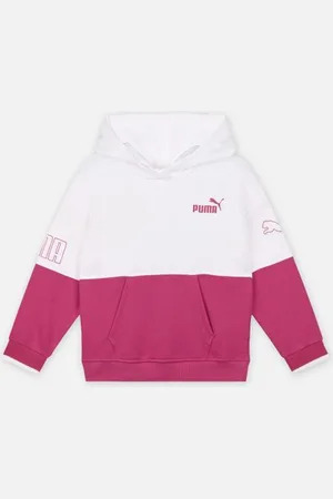 PUMA Power Colorblock Hoodie Tr G by