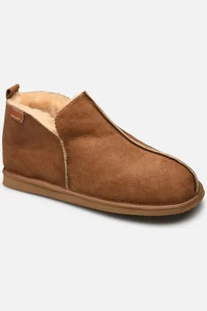 Shepherd Anton by