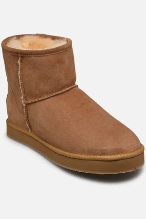 Shepherd Paris by