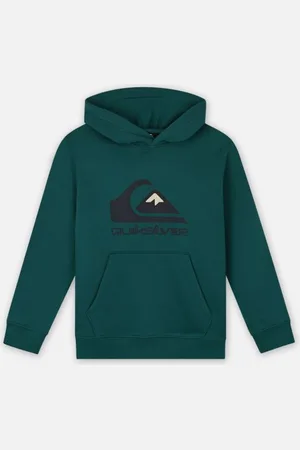 Quiksilver Big Logo Hoodie Youth EQBFT03925 by